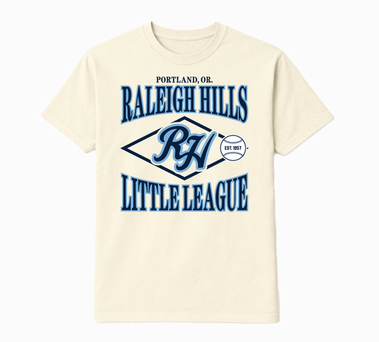 Vintage Collegiate tee (navy/light blue graphic) - Adult sizes